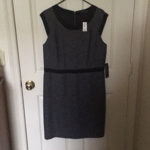 The Limited Sheath Dress